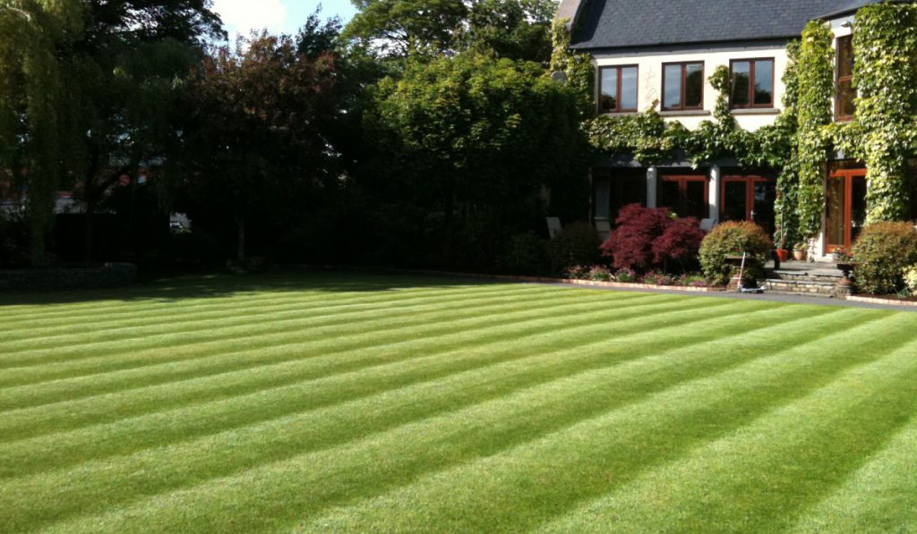 Fertilizing