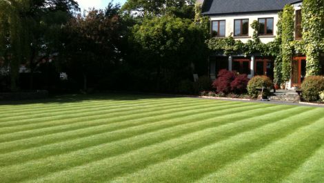 Fertilizing