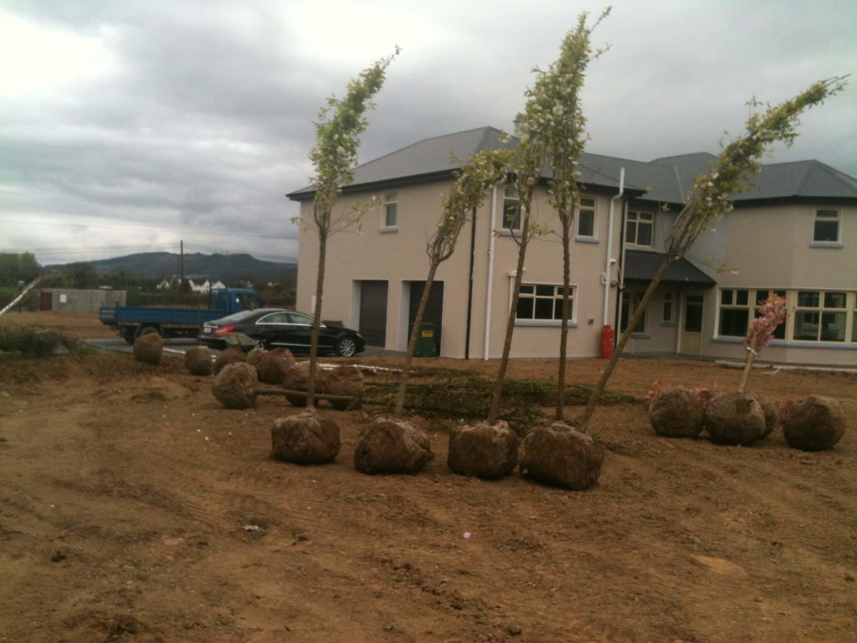 Planting and Shrub Beds - Fairybush Landscaping