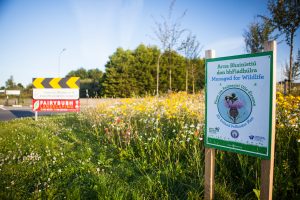 Commercial landscaping for biodiversity