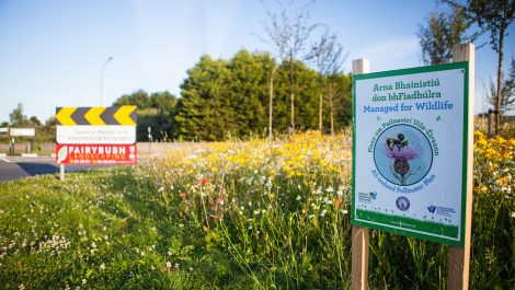 Commercial landscaping for biodiversity