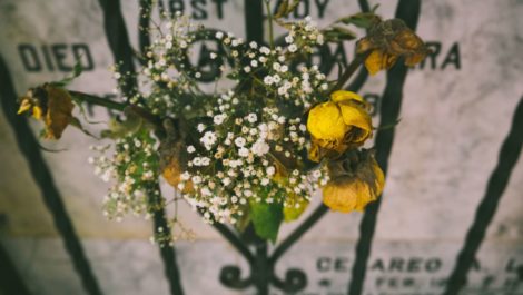 Grave Maintenance Services
