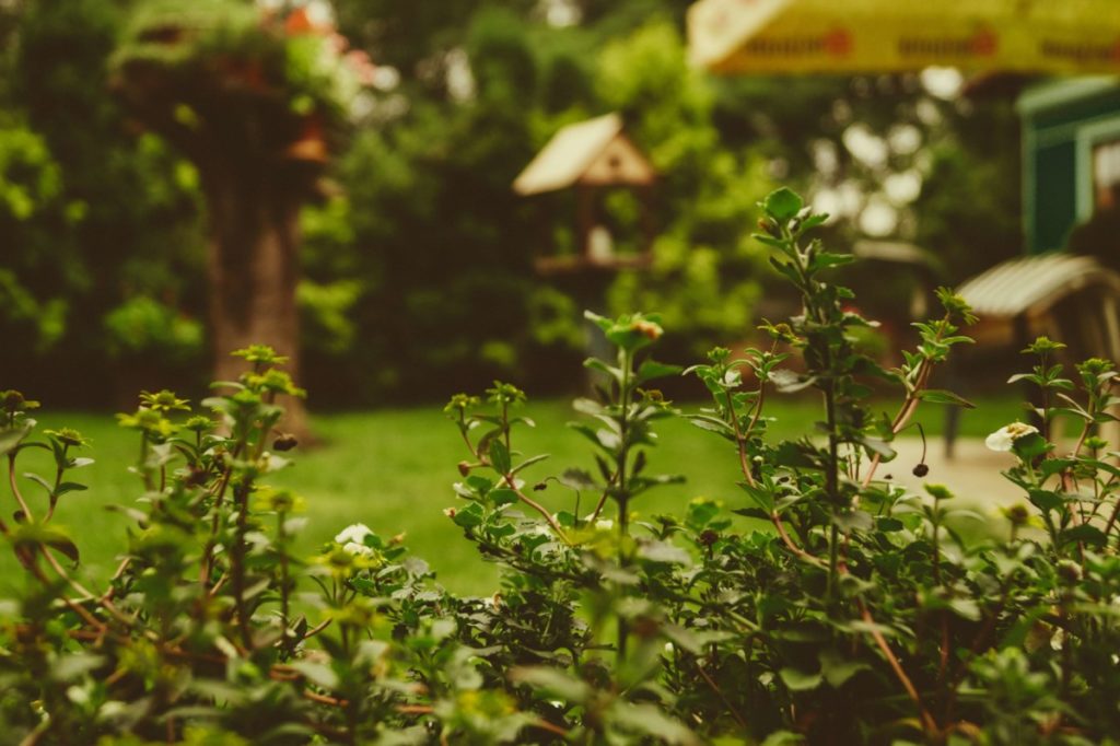 Garden Design